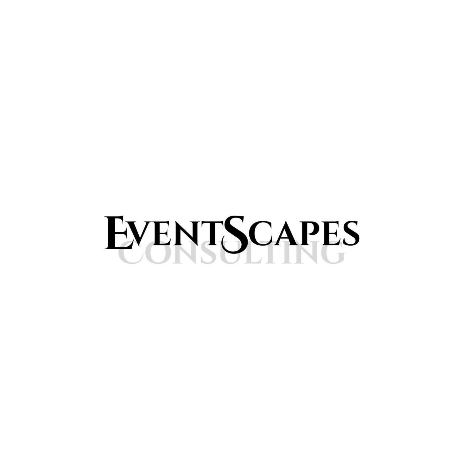 EventScapes Consulting